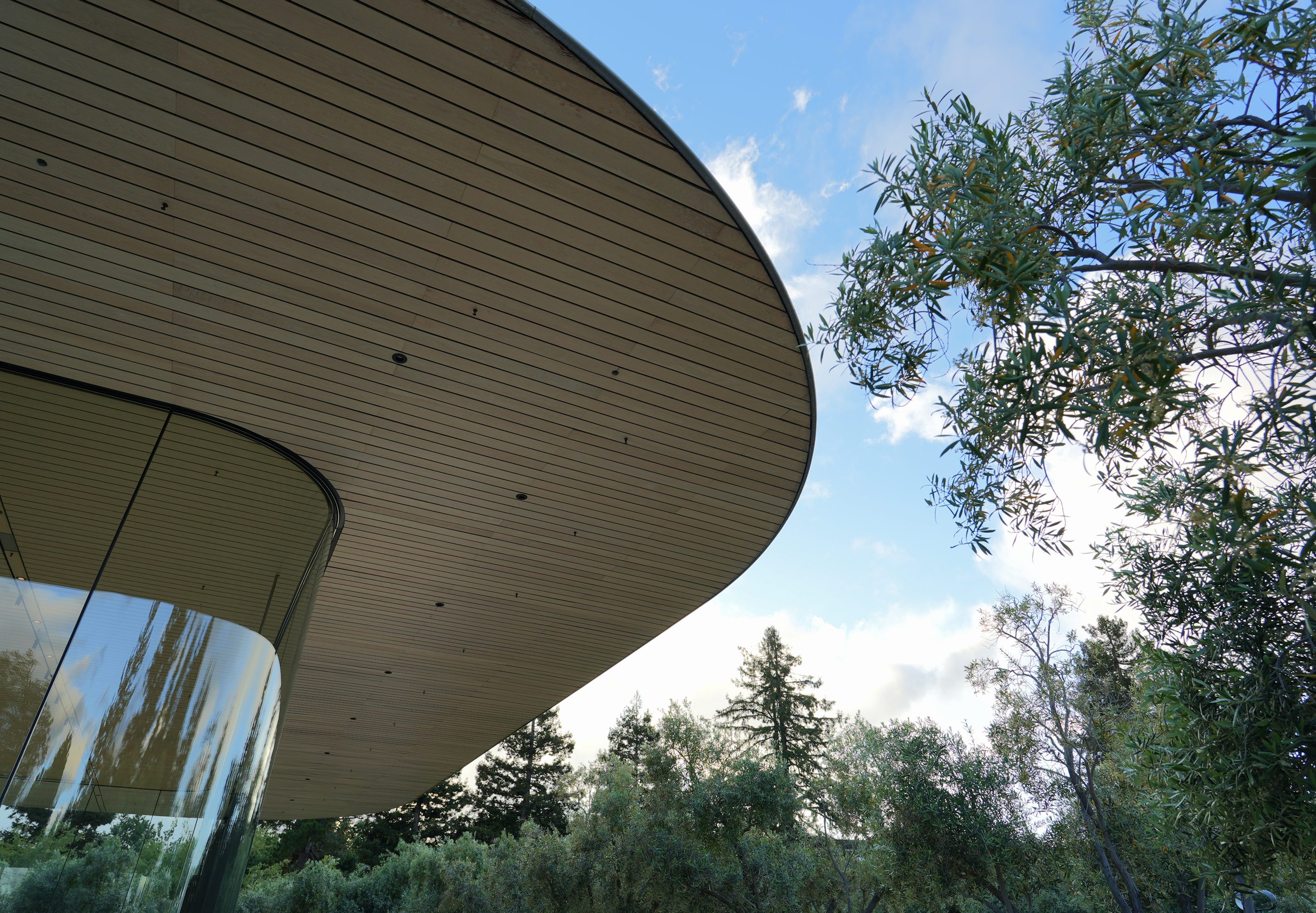 The curved rooftop of a modern building against trees and sky.